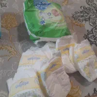 مای بی بی و شیر دوش