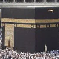 فروش فیش عمره