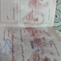 واگذاری  رایگان سگ جک راسل|سگ|اقلید, |دیوار