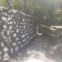 کاربنایی|خدمات پیشه و مهارت|خزل, |دیوار