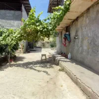 مرغداری ۳۰۰۰۰قبل از کردکوی ۹۰۰۰مترزمین|فروش دفتر صنعتی، کشاورزی، تجاری|گرگان, |دیوار