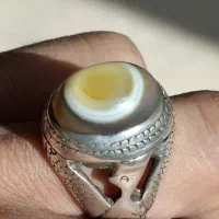 انگوشتر باباقوری چشم گاوی توضیحات خانده شود.