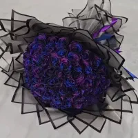 روبینا گالری