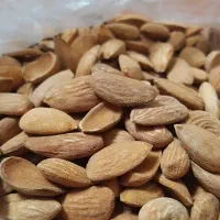 مغز گردو بادام پسته و بنه ،خلال گردو|خوردنی و آشامیدنی|شیراز, گلشن|دیوار