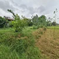 ۲۱۰۰هزار متر زمین مناسب برای ویلا باغ قیمت مناسب|فروش دفتر صنعتی، کشاورزی، تجاری|کوچصفهان, |دیوار