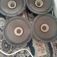 میدرنج سایز 12