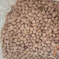 لوبیا چیتی|عمده‌فروشی|اهواز, اهواز|دیوار
