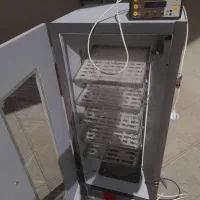 دستگاه جوجه کشی