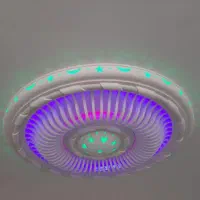 نیرو گچساز کار بلد