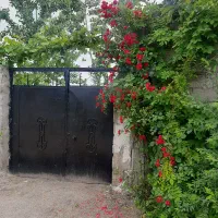 سوئیت دربست