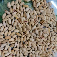 پسته اکبری|خوردنی و آشامیدنی|قم, شهر قائم|دیوار