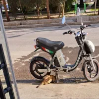 دوچرخه برقی/موتور برقی
