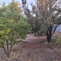 فروش باغ شهری جنت شهر وصل اسفالت|فروش زمین و ملک کلنگی|جنت, |دیوار