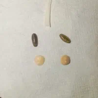 مهره اصلی تضمینی