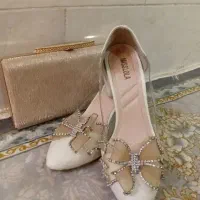 کیف و کفش مجلسی ست