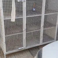 قفس جفتگاه کفتر