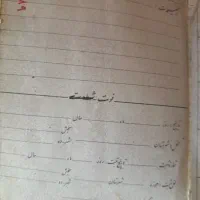 پیدا شده