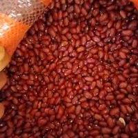 خرید و فروش لوبیا قرمز و چیتی عمده|خوردنی و آشامیدنی|خرمدره, |دیوار