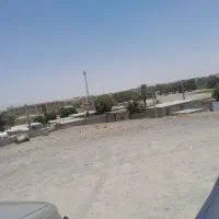 زمین-فروشی-نخلستان-رواق-6-اخر-کوچه-روی-تپه