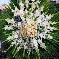 تاج گل|گل و گیاه طبیعی|گلپایگان, |دیوار