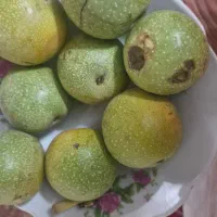 گردو تازه ایرانی|حراج|اصفهان, بیدآباد|دیوار