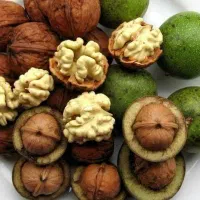گردو درجه یک صادراتی تویسرکان به صورت جزئی و کلی