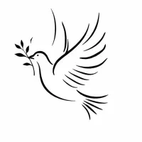 طراحی لوگو ، پوستر و.. با بهترین قیمت