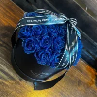 کادویی..ولن