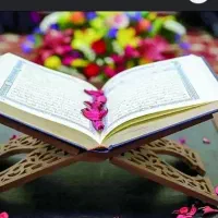 گول سرکتاب رانخور
