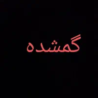 مدارک گمشده