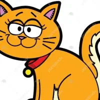 یه گربه پیدا شده
