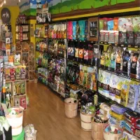 فروشنده پت شاپ اقا