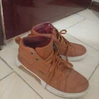 نیم پوت|کیف، کفش، کمربند|پیشوا, |دیوار