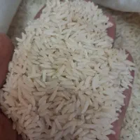 درود بر شما برنج هاشمی گیلان ابکنار