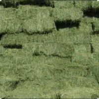 فروش خوراک دام یونجه