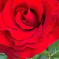 نظافت منزل. راه پله ومشاعات وپارکینگ