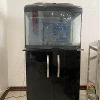 اکواریوم ماهی شرکتی با میز و کمد|ماهی|باغستان, |دیوار