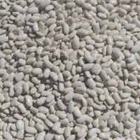 لوبیا چیتی سفید