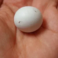 سنگ الماس