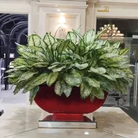 باغبانی وفضای سبز