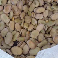 باقالی