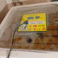 دستگاه جوجه گشی