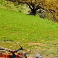 همسفر و اردو