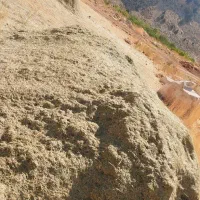 کاه علف باغ