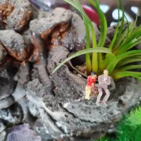 آکواریوم|ماهی|مبارکه, |دیوار