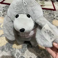 عروسک نو|اسباب‌‌بازی|قدس, شهر‌قدس|دیوار