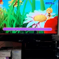 تلویزیون ال ای دی دووفول اج دی ۴۳اصل گیرنده دار