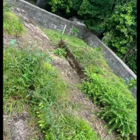 زمین مسکونی/با پروانه ساخت/ویو ابدی|فروش زمین و ملک کلنگی|لاهیجان, آهندان|دیوار