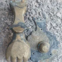 بونی در
