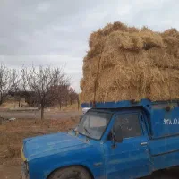 پخل پرس گندوم نارد